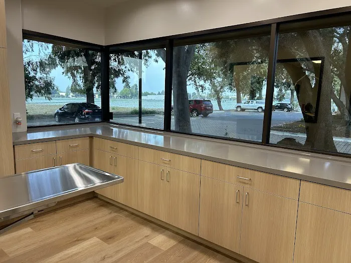 Hope Veterinary Oncology Picture 6