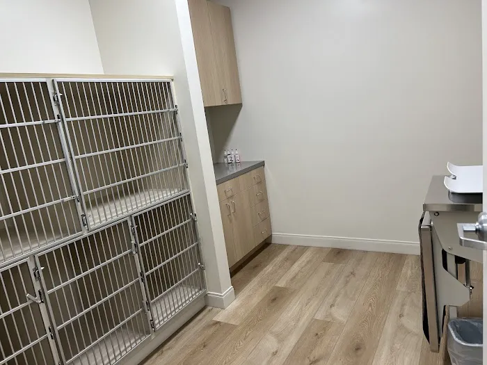 Hope Veterinary Oncology Picture 1