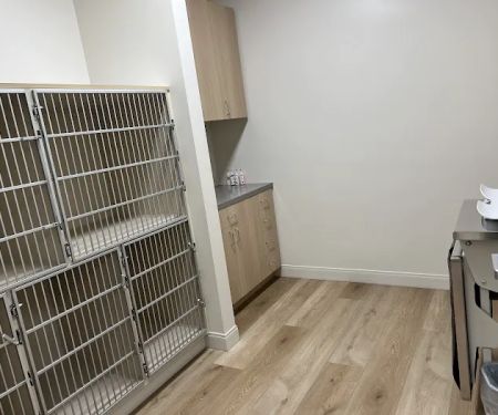 Hope Veterinary Oncology