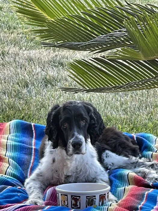 Hope Veterinary Oncology Picture 4