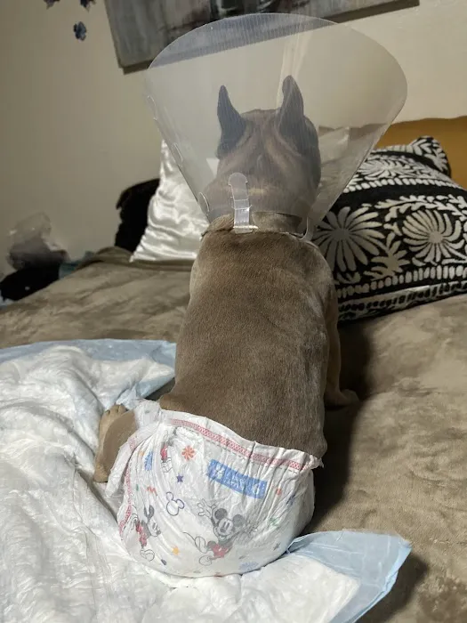 Banfield Pet Hospital Picture 8