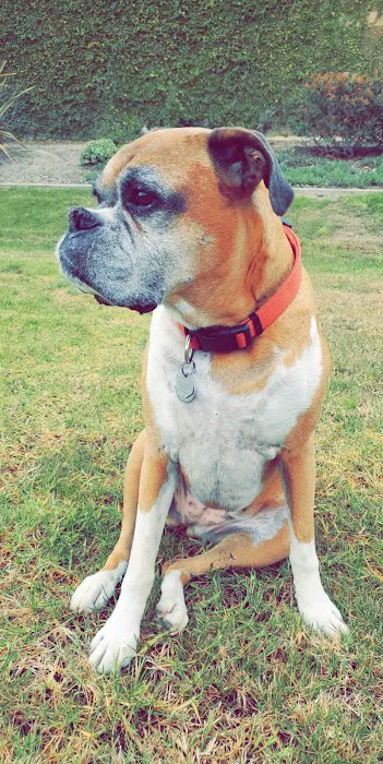 Banfield Pet Hospital Picture 5