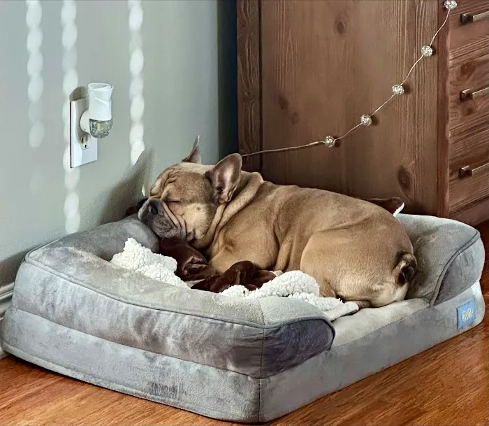 Banfield Pet Hospital Picture 6