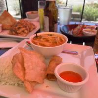 April Armstrong DVM- Shoreline Equine ico