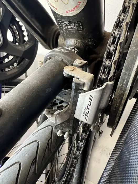 April Armstrong DVM- Shoreline Equine Picture 2