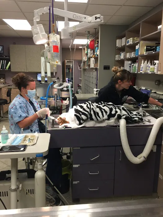 Yosemite Pet Hospital Picture 9