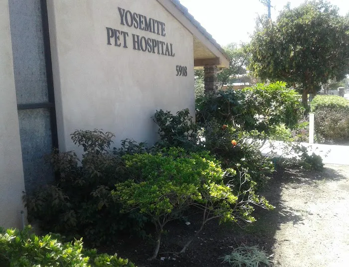 Yosemite Pet Hospital Picture 5