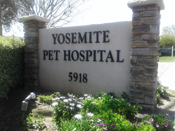 Yosemite Pet Hospital Picture 6