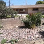 Yosemite Pet Hospital