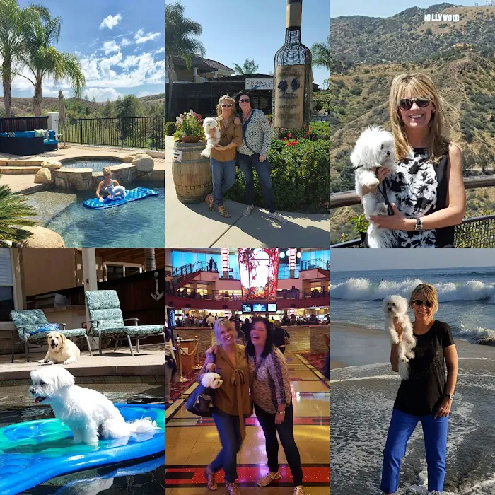 Animal Hospital of Temecula Picture 2