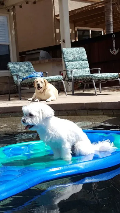 Animal Hospital of Temecula Picture 1