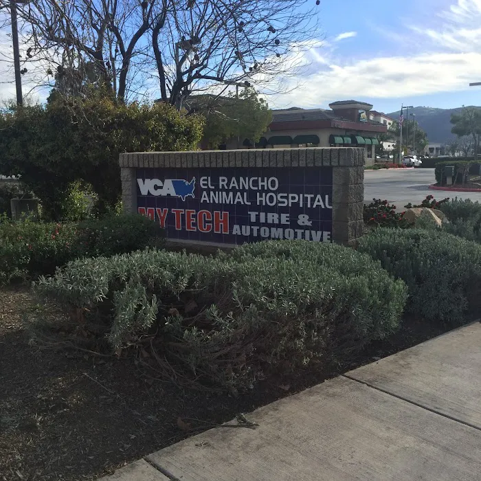 VCA El Rancho Animal Hospital Picture 9