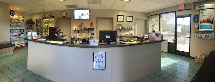 VCA El Rancho Animal Hospital Picture 8