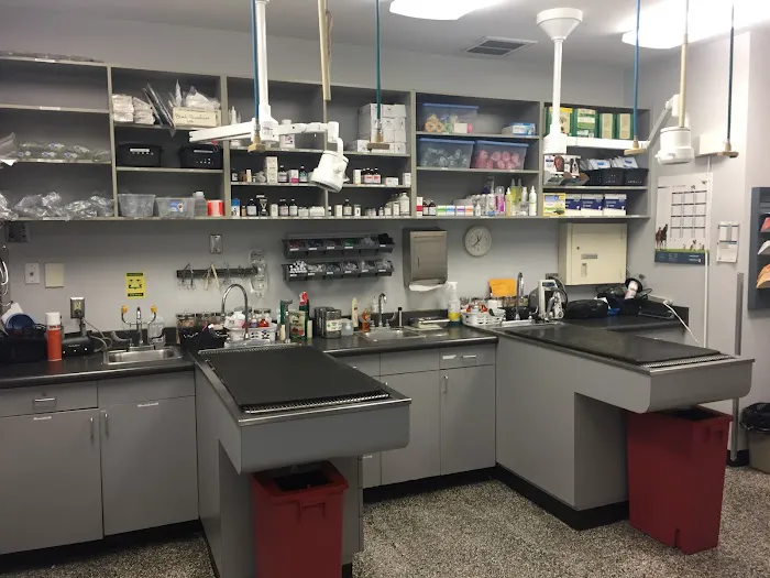 VCA El Rancho Animal Hospital Picture 7