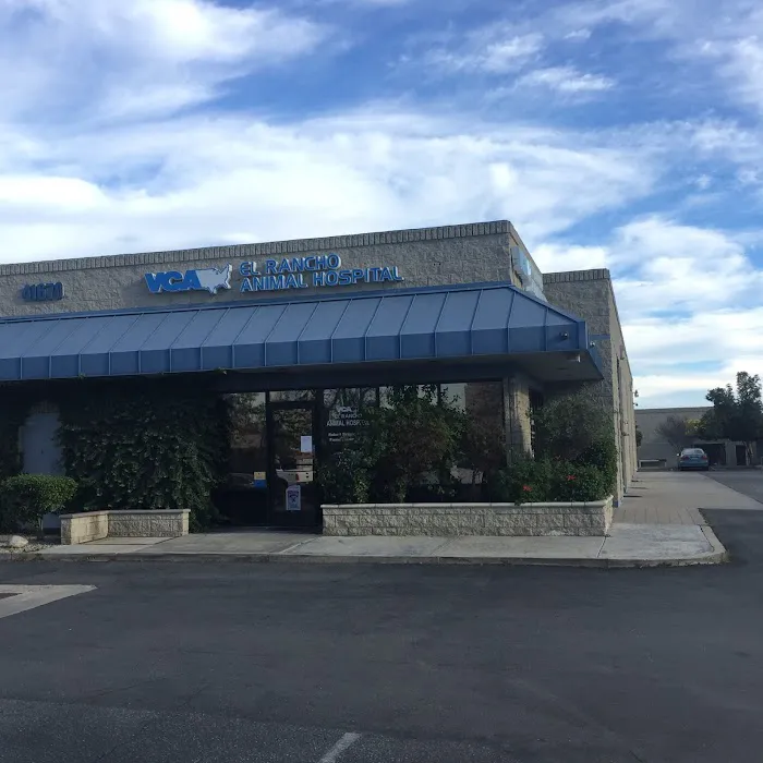 VCA El Rancho Animal Hospital Picture 10