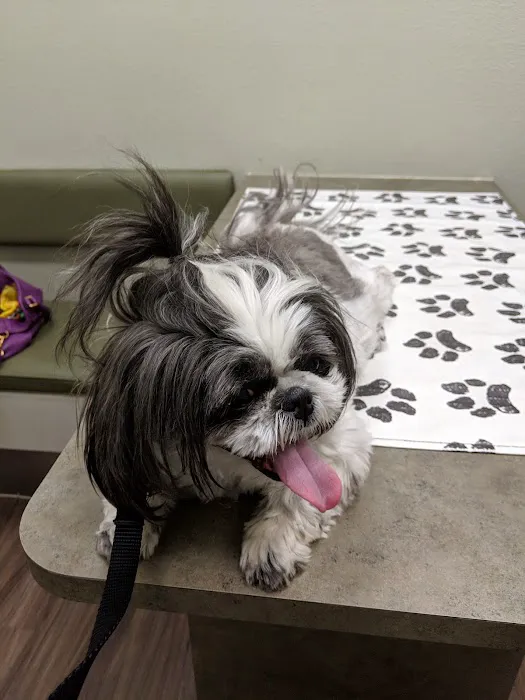 Vineyard Veterinary Hospital Picture 4