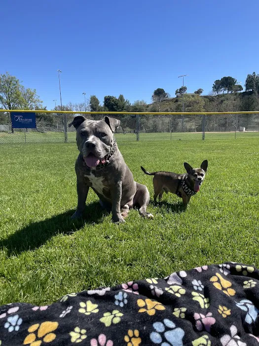 Vineyard Veterinary Hospital Picture 7