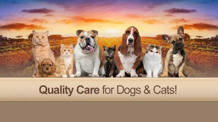 Vineyard Veterinary Hospital Picture 9