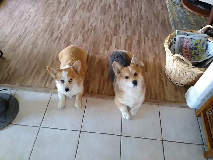 Vineyard Veterinary Hospital Picture 8