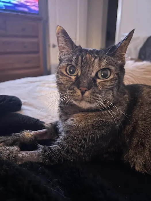 EPIC Vets Picture 10