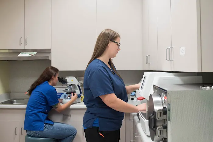 Care Animal Hospital Picture 2