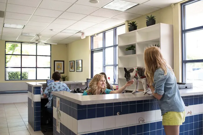 Care Animal Hospital Picture 4