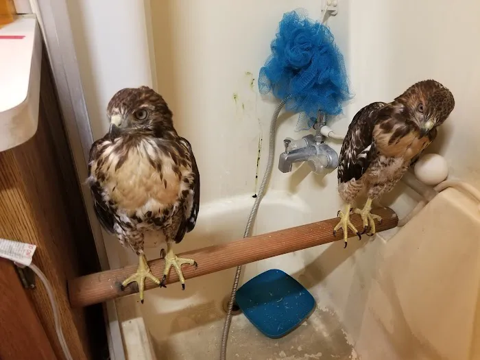 Care Animal Hospital Picture 5