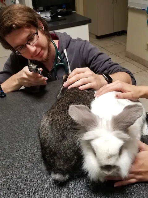 Care Animal Hospital Picture 8