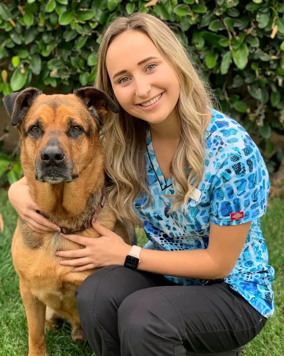 Care Animal Hospital Picture 9