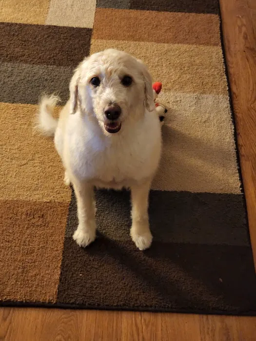 Banfield Pet Hospital Picture 1