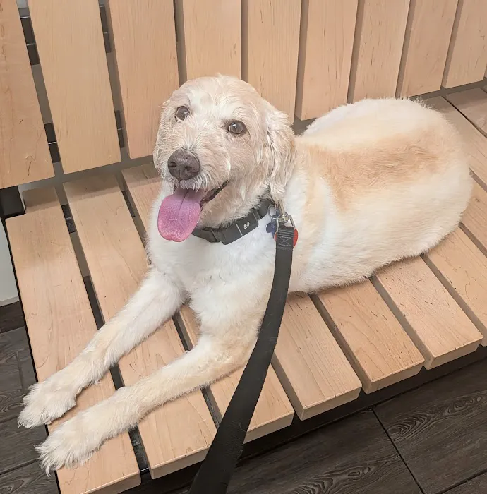 Banfield Pet Hospital Picture 2