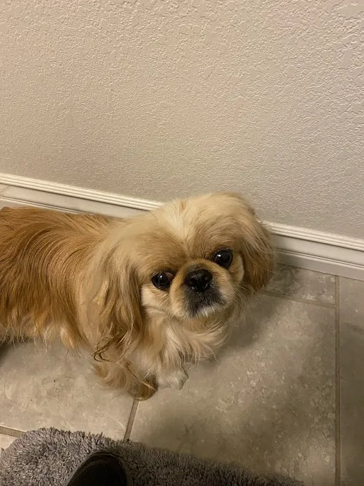 Banfield Pet Hospital Picture 4