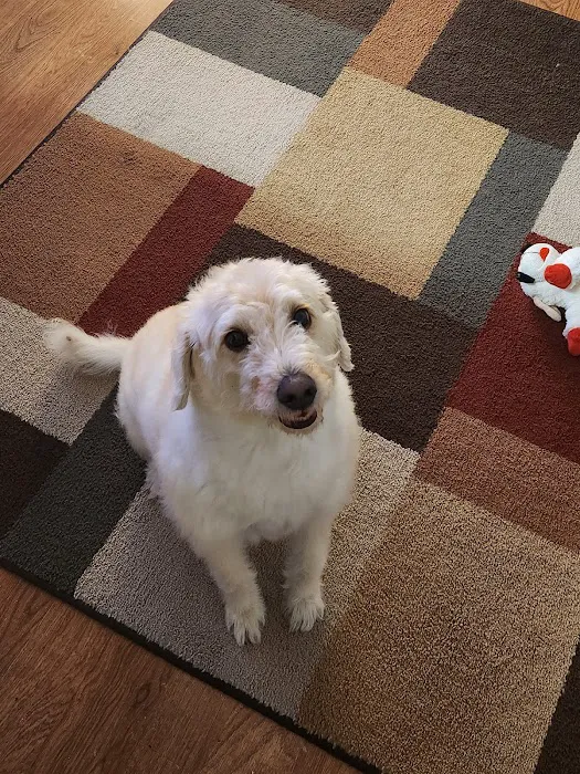 Banfield Pet Hospital Picture 3