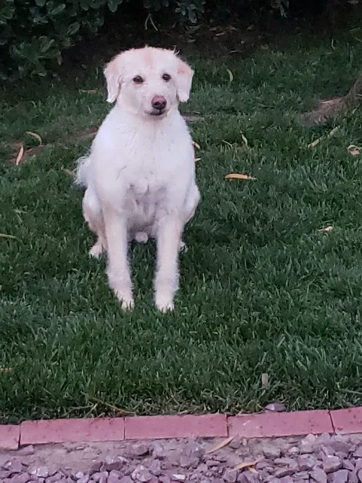 Banfield Pet Hospital Picture 6