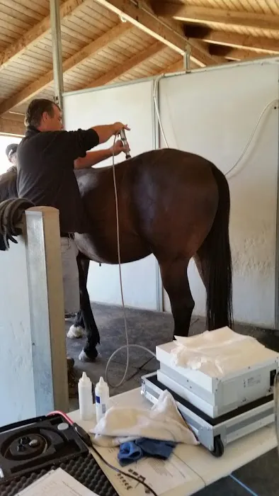 West Coast Equine Medicine Picture 2