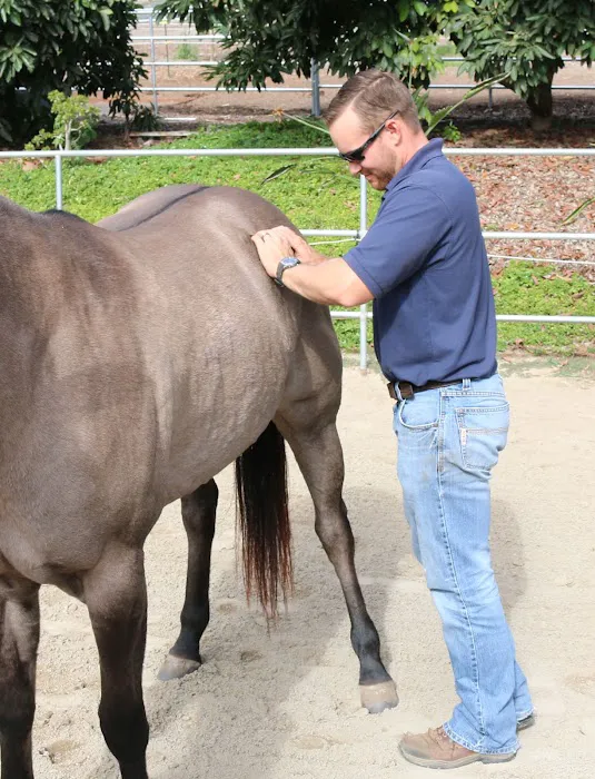 West Coast Equine Medicine Picture 1