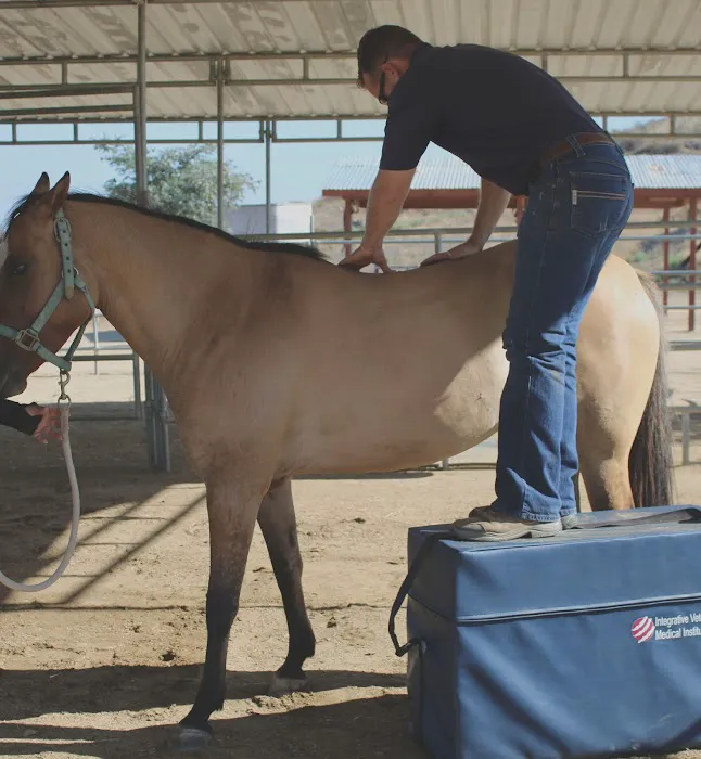 West Coast Equine Medicine Picture 6