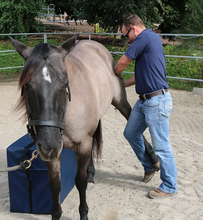 West Coast Equine Medicine Picture 8