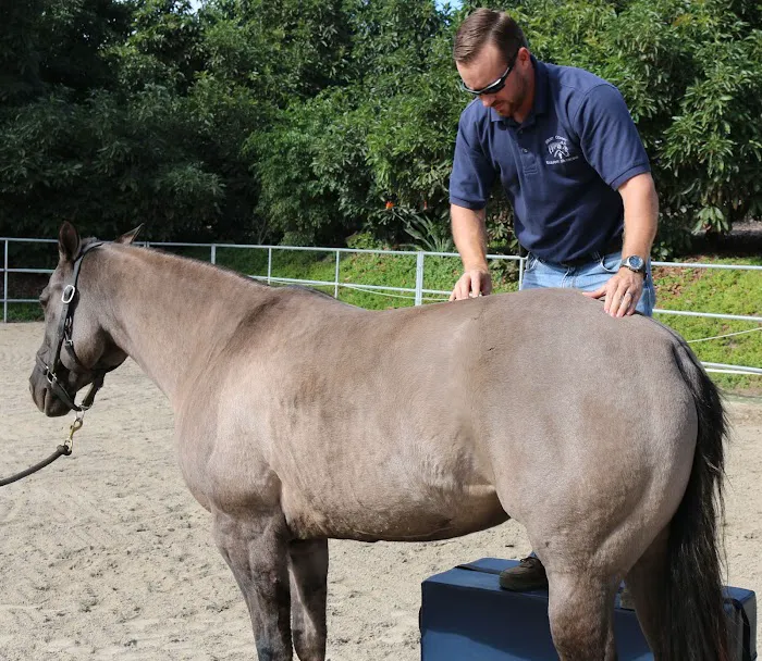 West Coast Equine Medicine Picture 9
