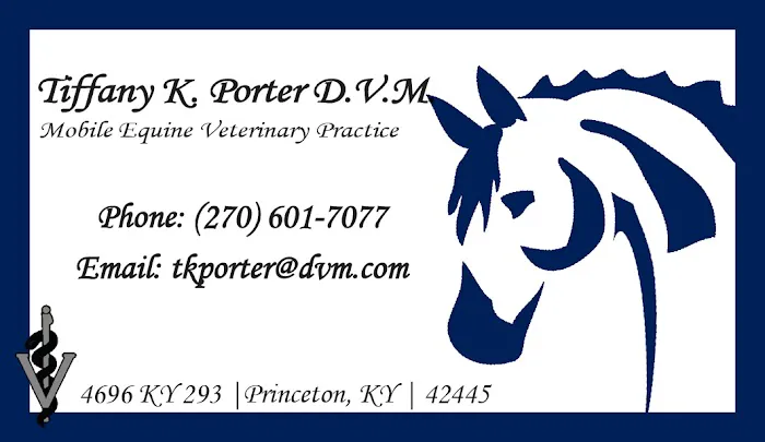 Tiffany K Porter, DVM Picture 5