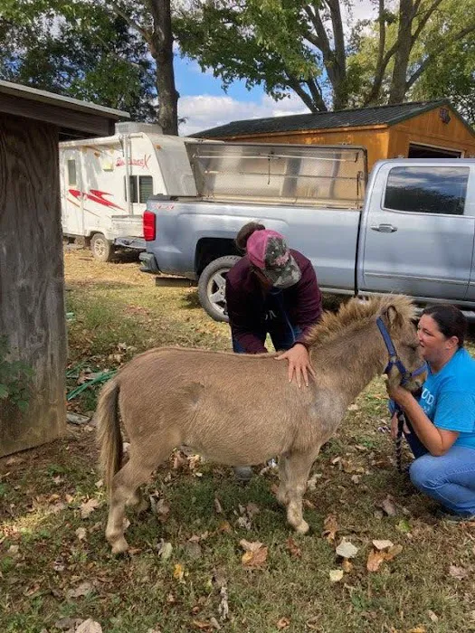 Tiffany K Porter, DVM Picture 4