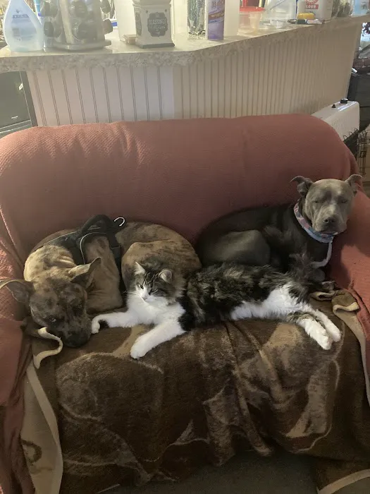 Lyon County Animal Hospital Picture 2