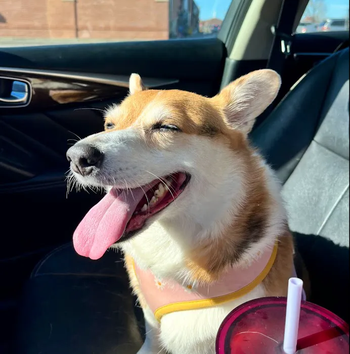 Lyon County Animal Hospital Picture 1