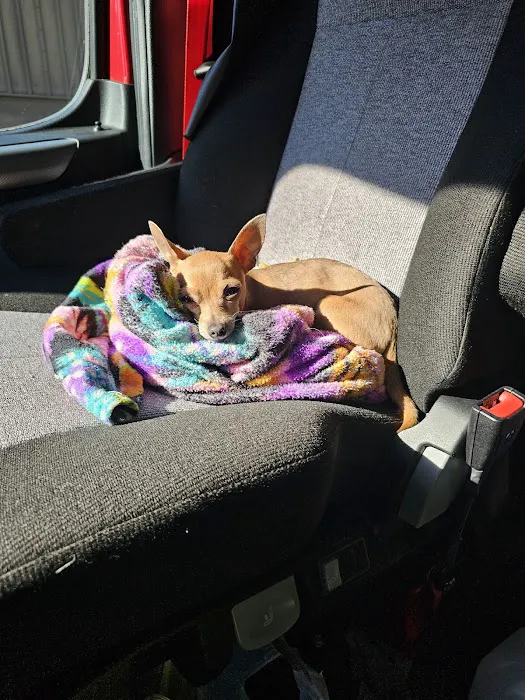 Lyon County Animal Hospital Picture 3