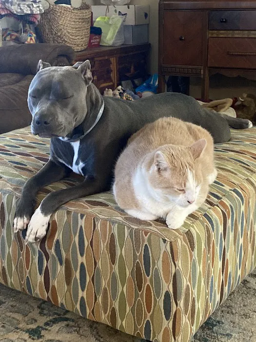 Lyon County Animal Hospital Picture 4