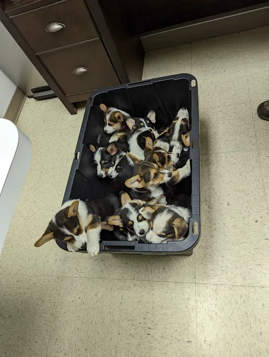 Lyon County Animal Hospital Picture 5