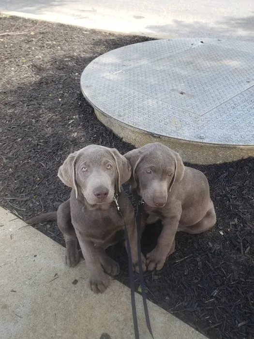 Lyon County Animal Hospital Picture 9