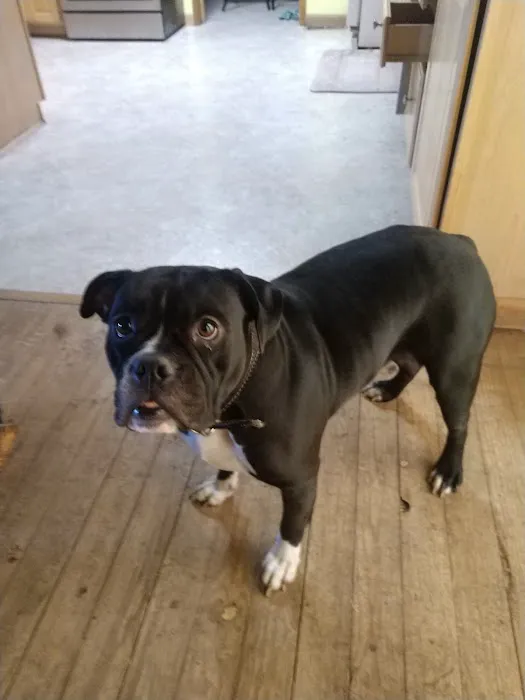 Lyon County Animal Hospital Picture 6