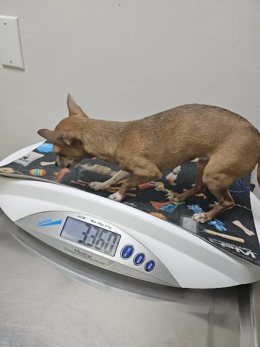 Lyon County Animal Hospital Picture 7