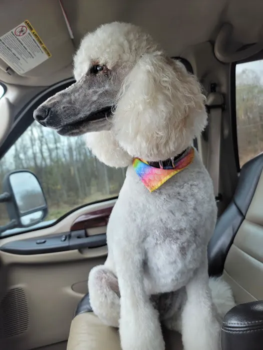 Williams Veterinary Clinic Picture 4